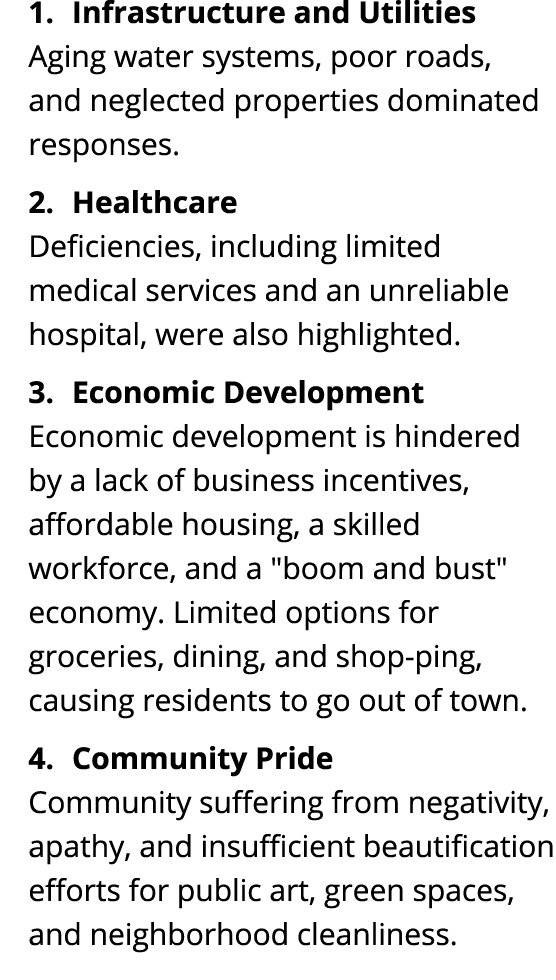 1. Infrastructure and Utilities Aging water systems, poor roads, and neglected properties dominated responses. 2. Hea...
