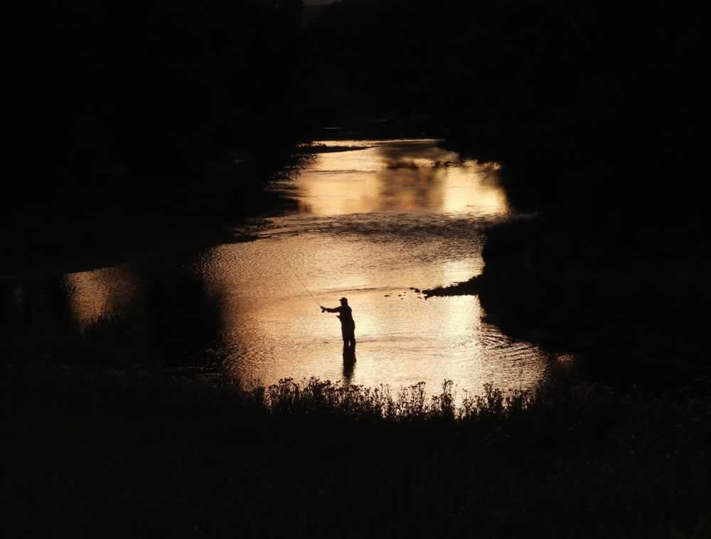 1st Place: Sue Jones, Encampment, WY