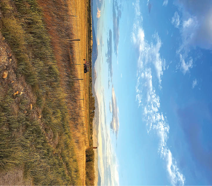 A dirt road is seen in a field with a car driving down it. The sky is blue and cloudy. AI generated content