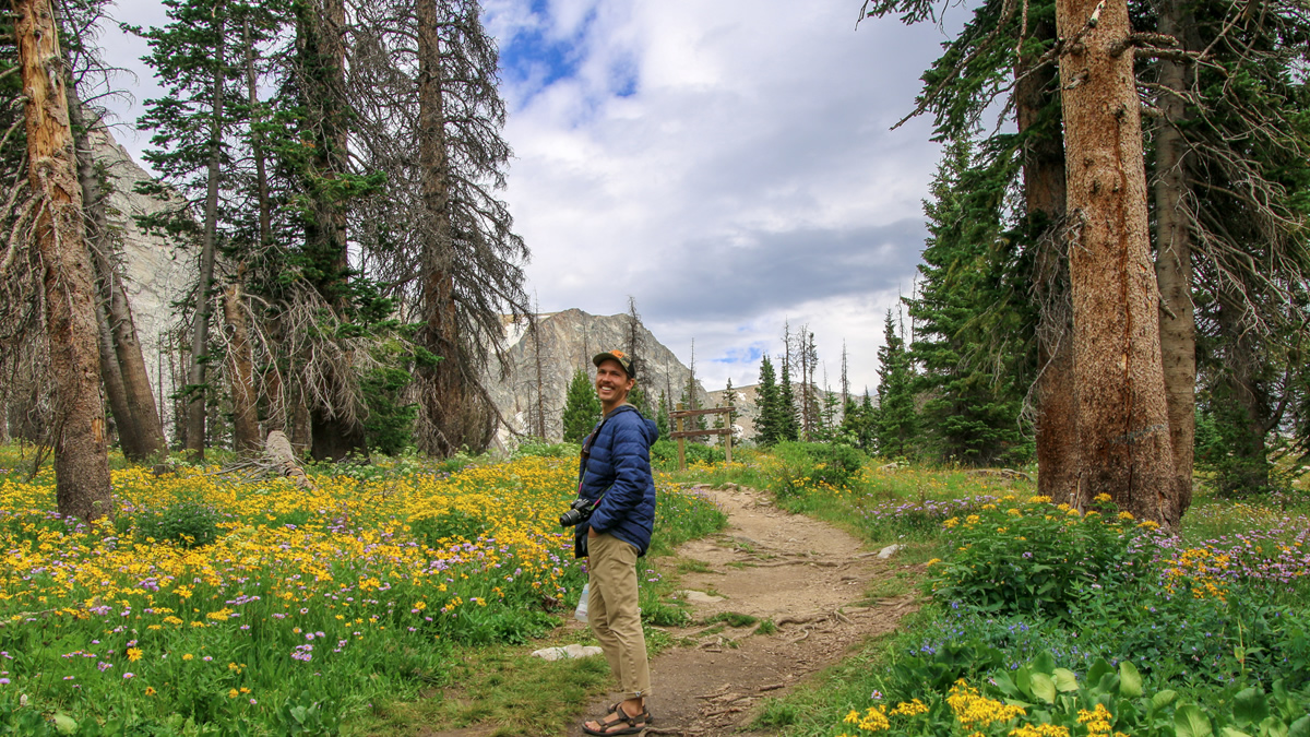 Medicine Bow National Forest