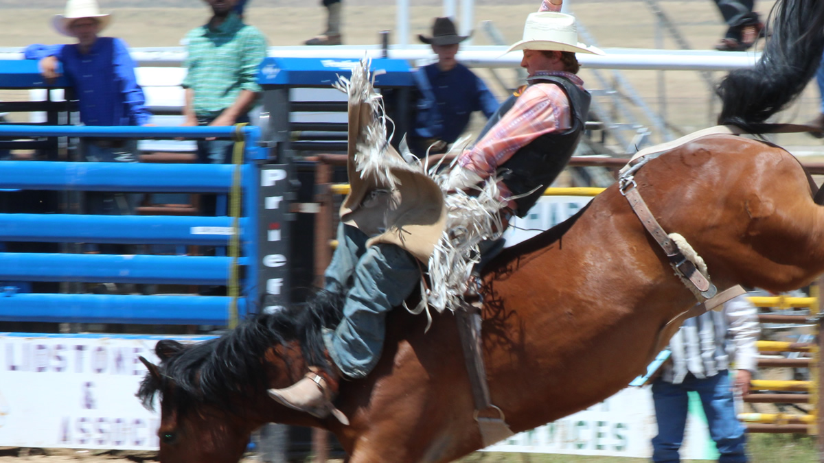 Carbon County Rodeos